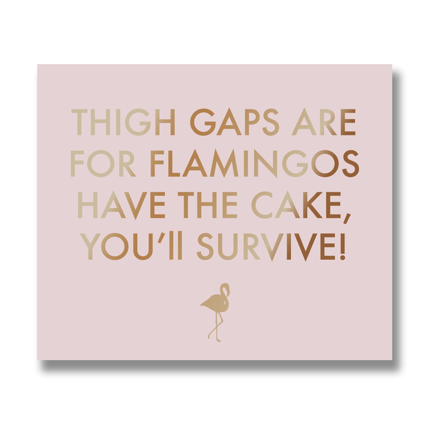 Thigh Gaps Are For Flamingos Metallic Detail Plaque