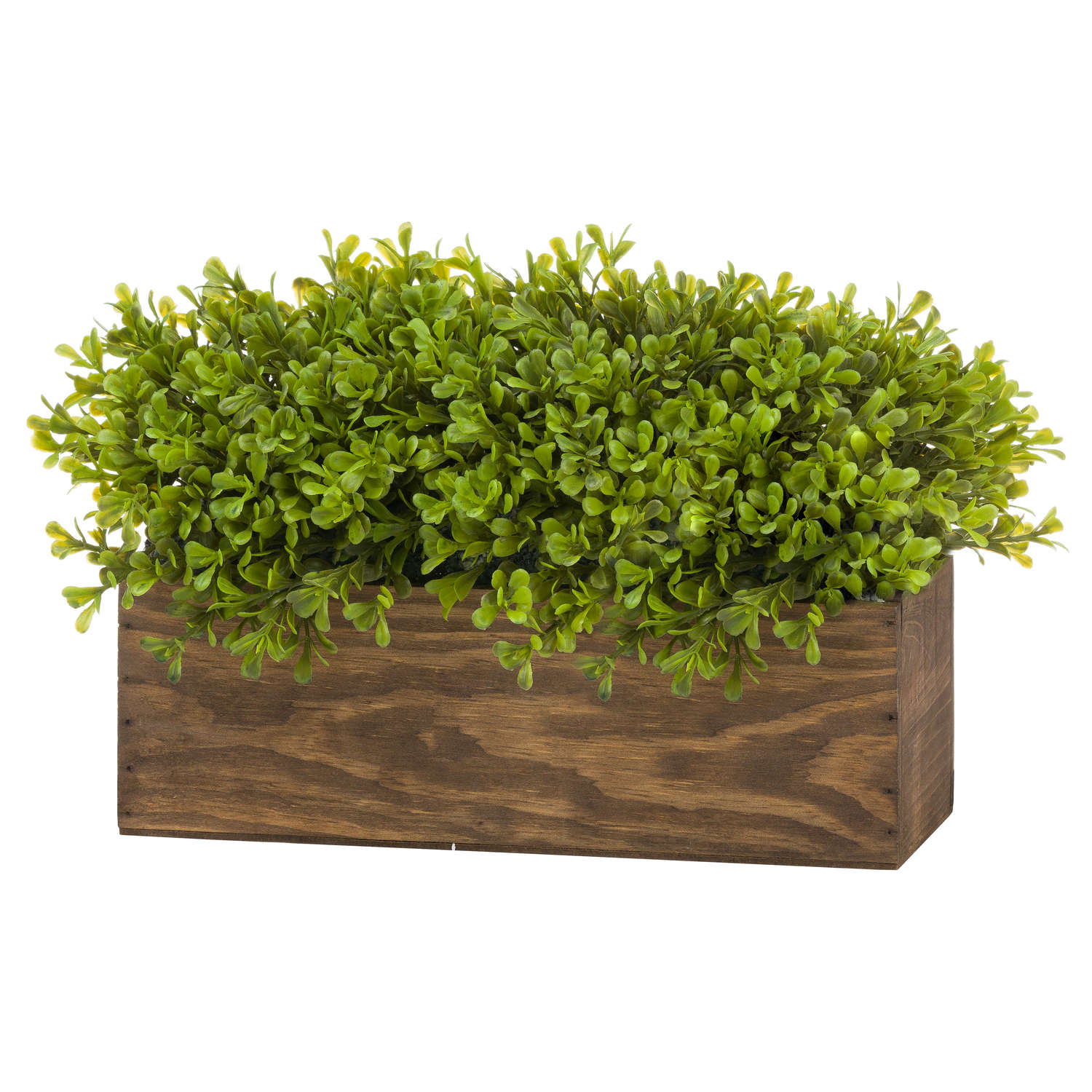 Topiary Box