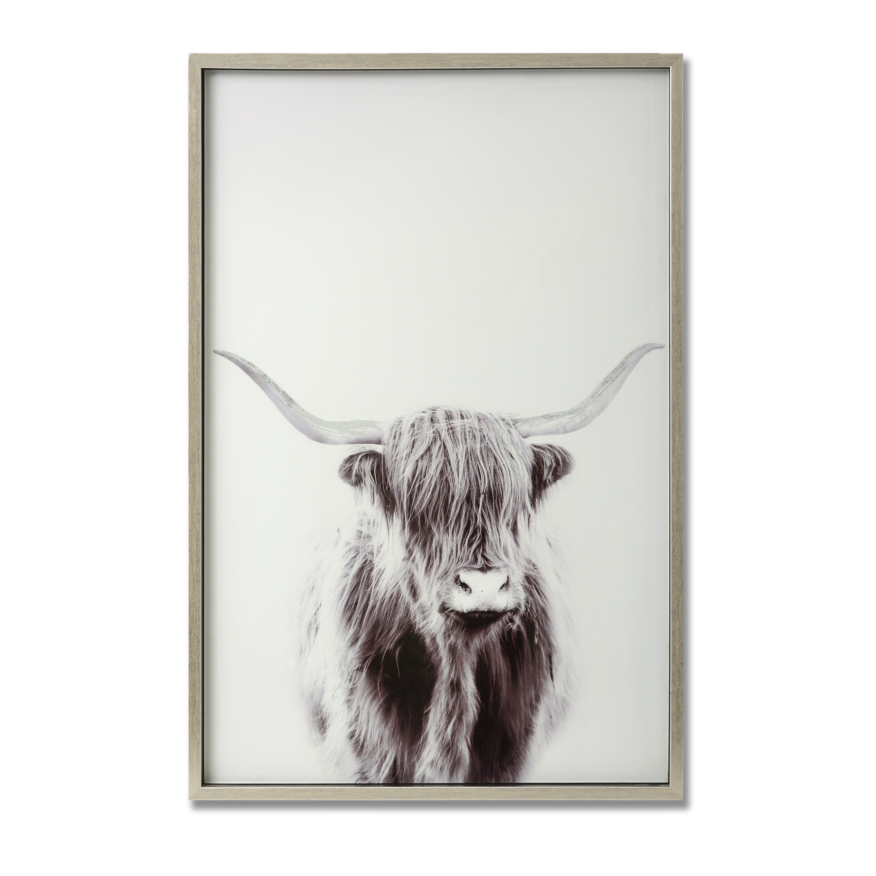 Highland Cow Right Facing Glass Image with Silver Frame