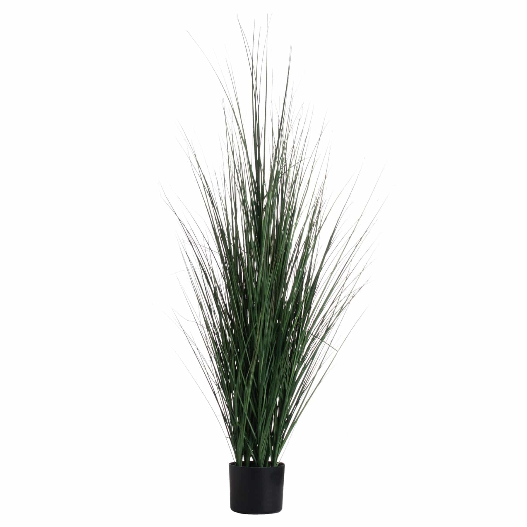 Potted Tall Grass Bush