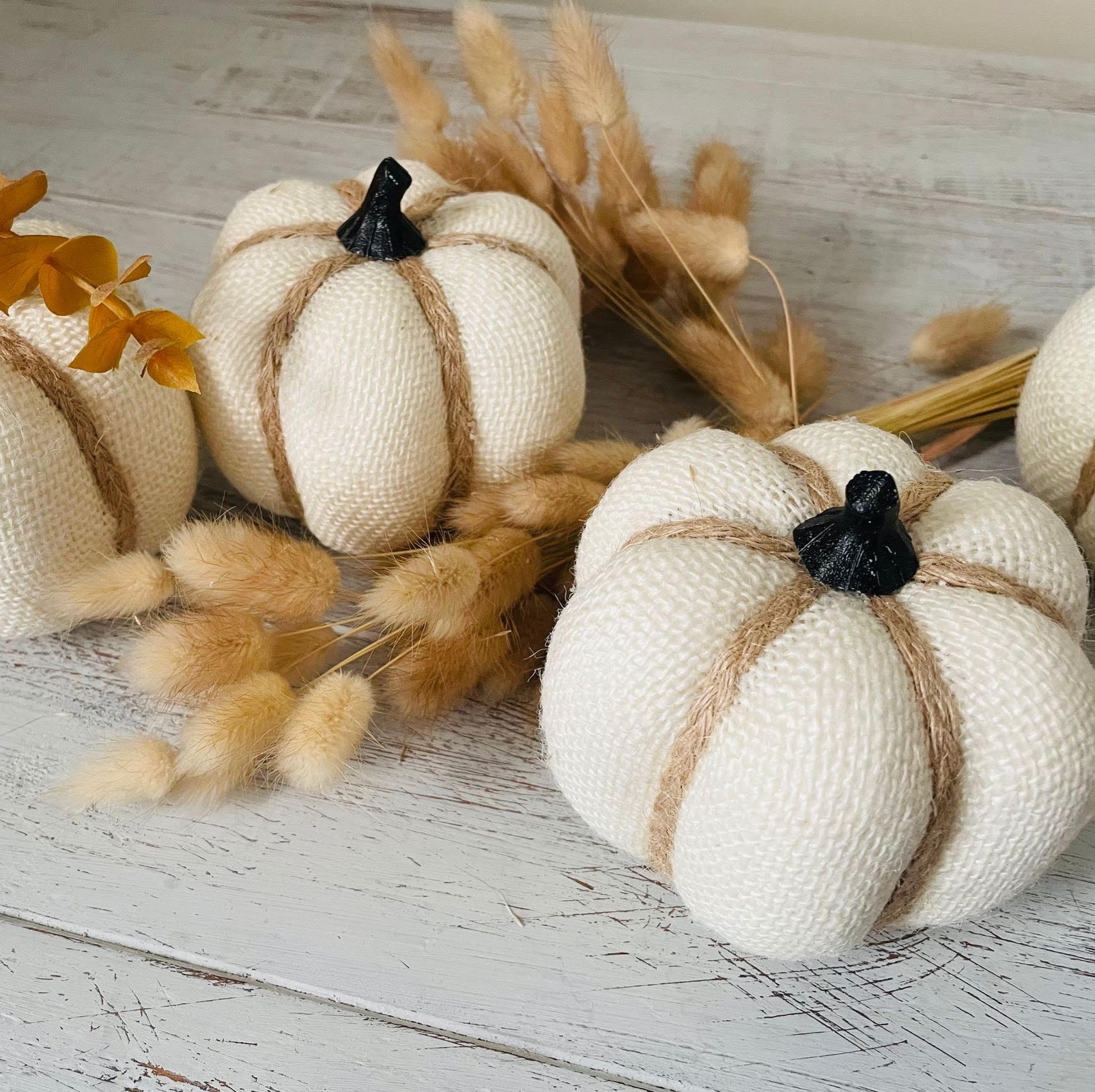 White Hessian Pumpkin